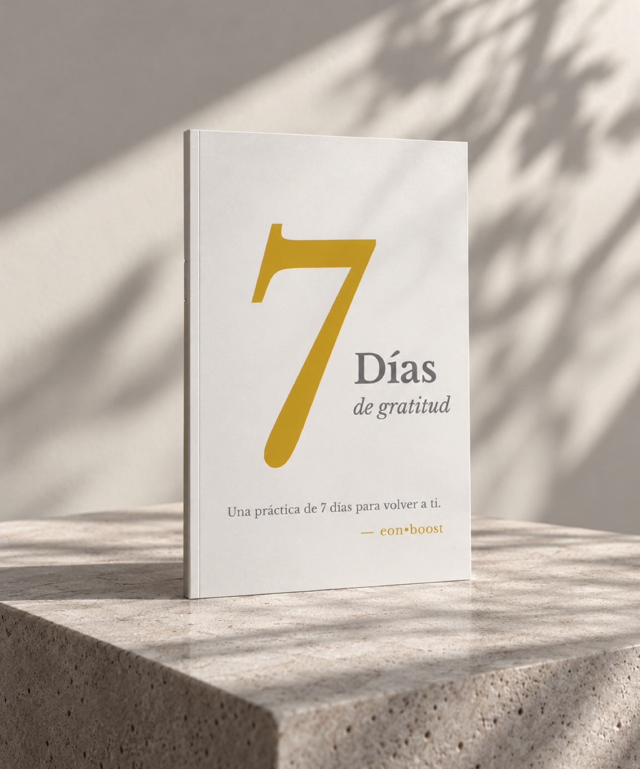 El libro 7 Días de gratitud sobre un bloque de piedra, con sombras de hojas en la pared